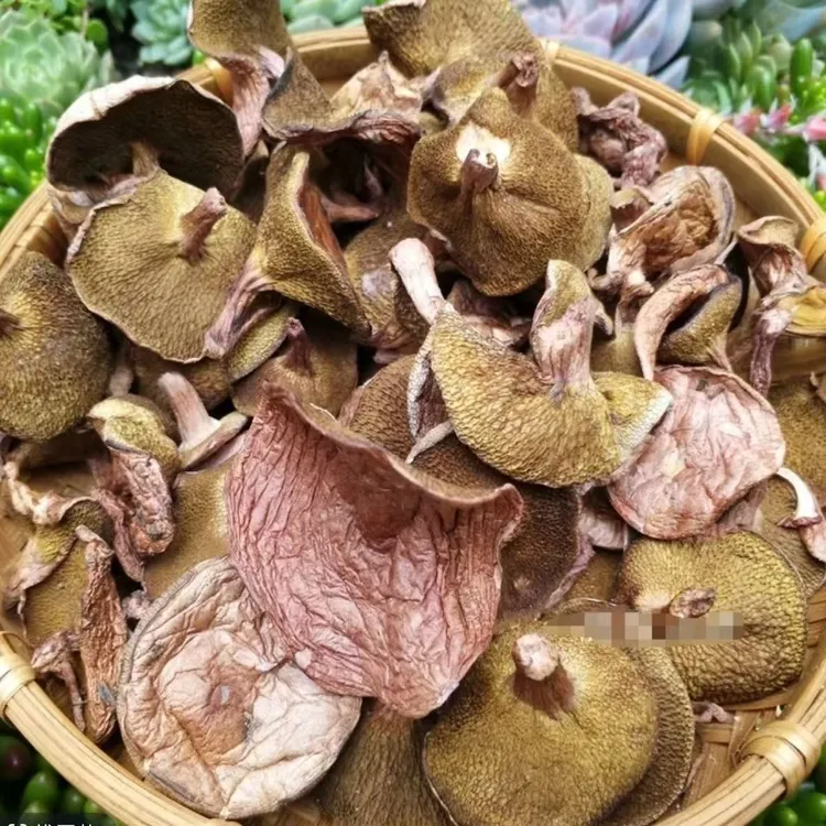 云南高山野生红乳牛肝菌干货松蘑[直播装货]菌菇松蛾蘑菇