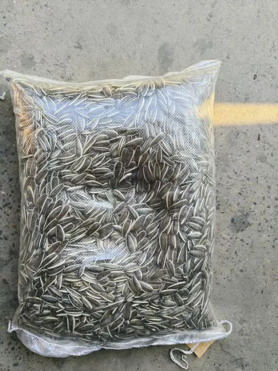 2025年生瓜子葵花籽内蒙古向日葵籽