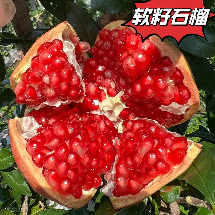 【鼠贝贝专属】四川会理软籽石榴★新鲜当季水果香甜多汁颗粒饱满