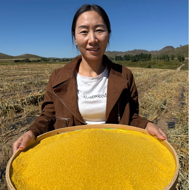 王艳专属利隆胚芽小米0糖 5斤 金苗K1胚芽小米米油小米丰厚现磨软糯香甜