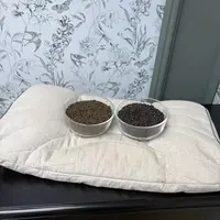 新款-100%亚麻荞麦决明子枕头干爽透气成人家用立体绗缝纯色XC