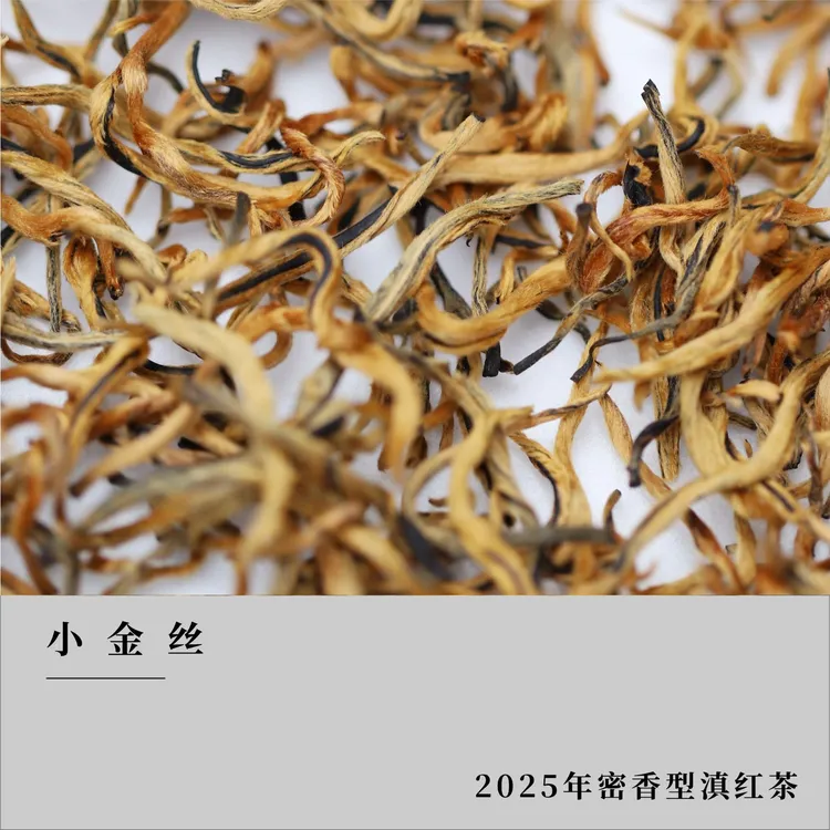 【小金丝】云南滇红小金丝（思茅本地料）红茶芽头茶叶蜜香甜润醇香型
