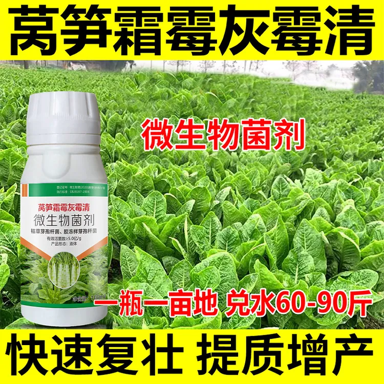莴笋病菌清专用莴笋霜霉莴笋灰霉软腐褐斑黄叶黑点烂根微生物菌剂