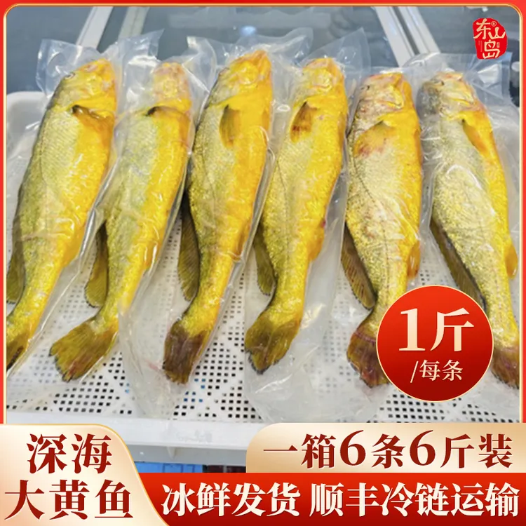 【冰鲜发货/凌晨捕捞/顺丰冷链/多规格】宁德深海野化大黄鱼礼盒装