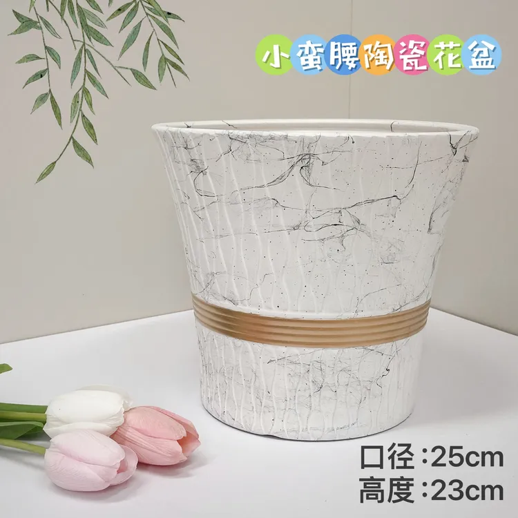 陶瓷花盆白金边小蛮腰特大号口25高23蝴蝶兰君子兰花发财树幸运树