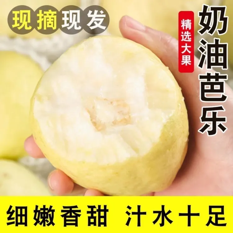 【奶油果王】广西当季新鲜白心芭乐番石榴清脆香甜鸡屎果孕妇水果