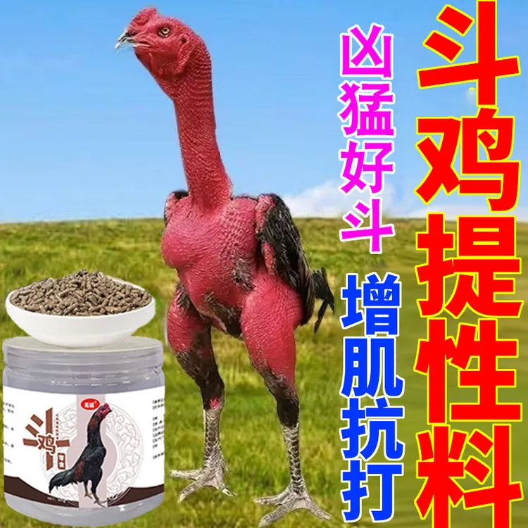 斗鸡王打料越南鬼斗鸡成年斗鸡王斗鸡用品增斗志专用比赛斗鸡饲料