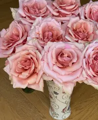 【娜美稀有玫瑰】  云南直发店铺内拍 两单起发才发货 顺丰冷链新鲜