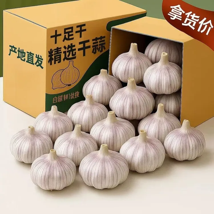 【5斤批发价】特价紫白皮农家大蒜干蒜特大头批发当季白皮大果便宜