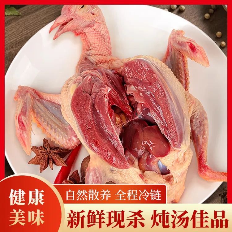 【顺丰快发】冰鲜肉鸽现杀农家滋补食用乳鸽散养鸽子肉煲汤生鲜