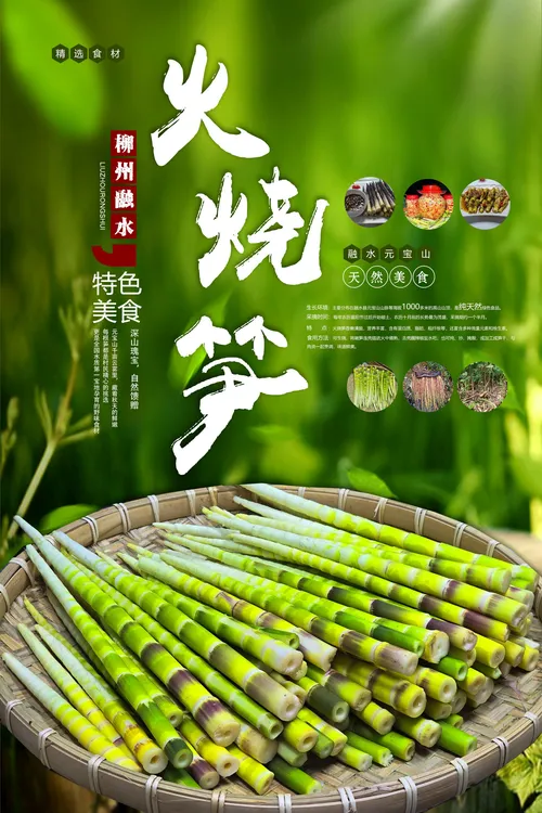 融水元宝山火烧笋