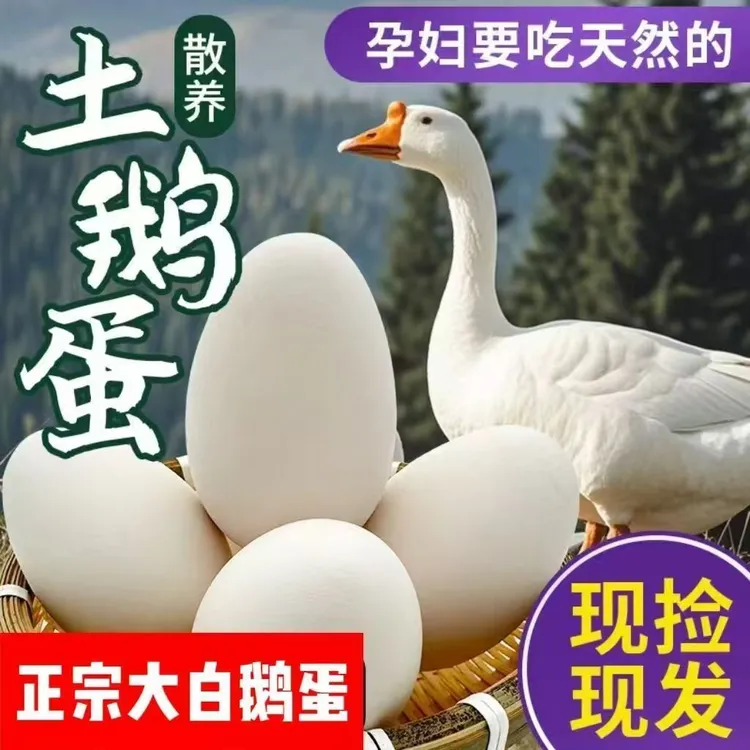 新鲜农家散养100克初生土鹅蛋现捡现发营养丰富适合孕妇儿童商品图
