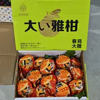 【礼盒装】大雅柑  爆汁肉细 带箱8.5斤左右  只限山西省内可拍