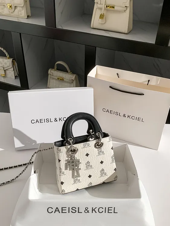CAEISL&KCIEL小众高级感撞色印花戴妃包女2025新款通勤手提斜挎包