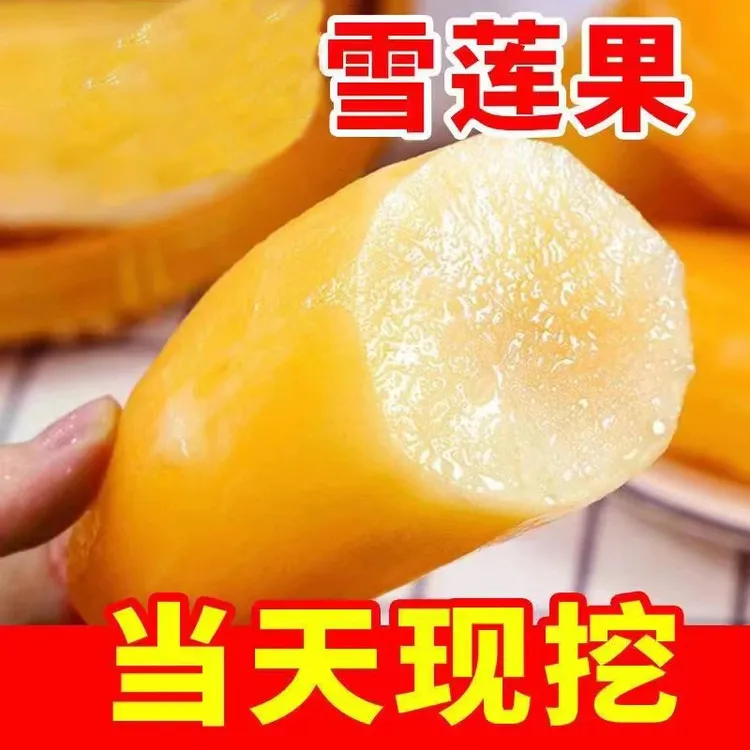 【果缘鲜】云南天山雪莲果现挖脆甜爆汁清甜雪莲果100g+3/5/9斤