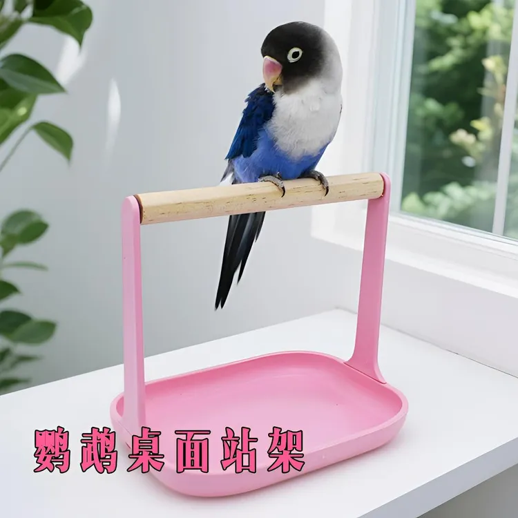 鹦鹉站架定点排便桌面站架牡丹玄风虎皮鹦鹉小型鸟站架小鸟站杆
