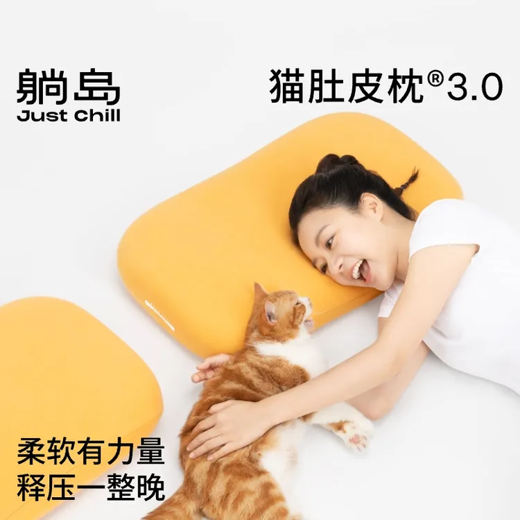 躺岛猫肚皮枕3.0记忆棉枕头护颈椎助睡眠枕头侧睡枕不塌柔软成人