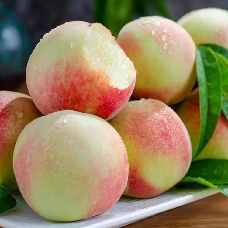 【脆桃】正宗脆蜜桃陕西秦玉桃露天种植现采现发应季水果