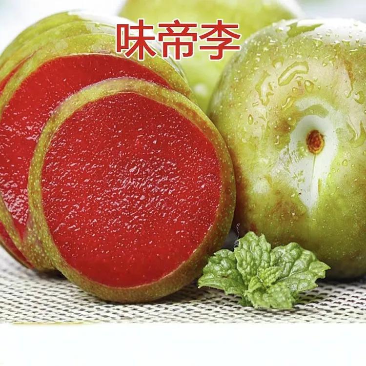 顺丰包邮新疆味帝血丝李红心李子杏李脆甜恐龙蛋李新鲜孕妇水果