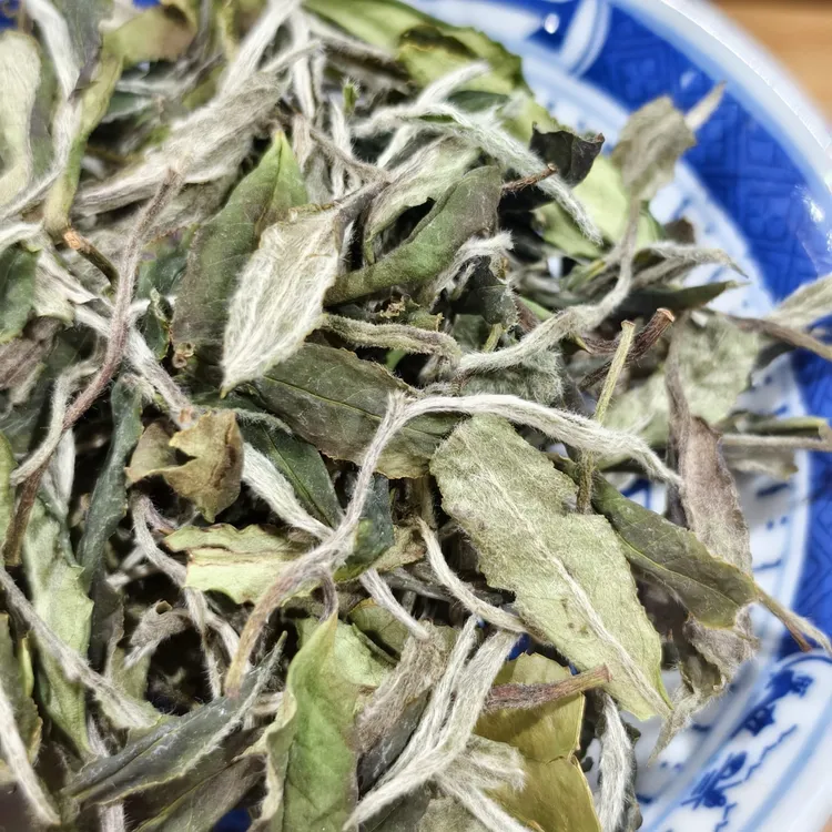 2025年管阳高山福鼎白茶牡丹散茶正宗福建花香蜜韵白牡丹新茶茶叶