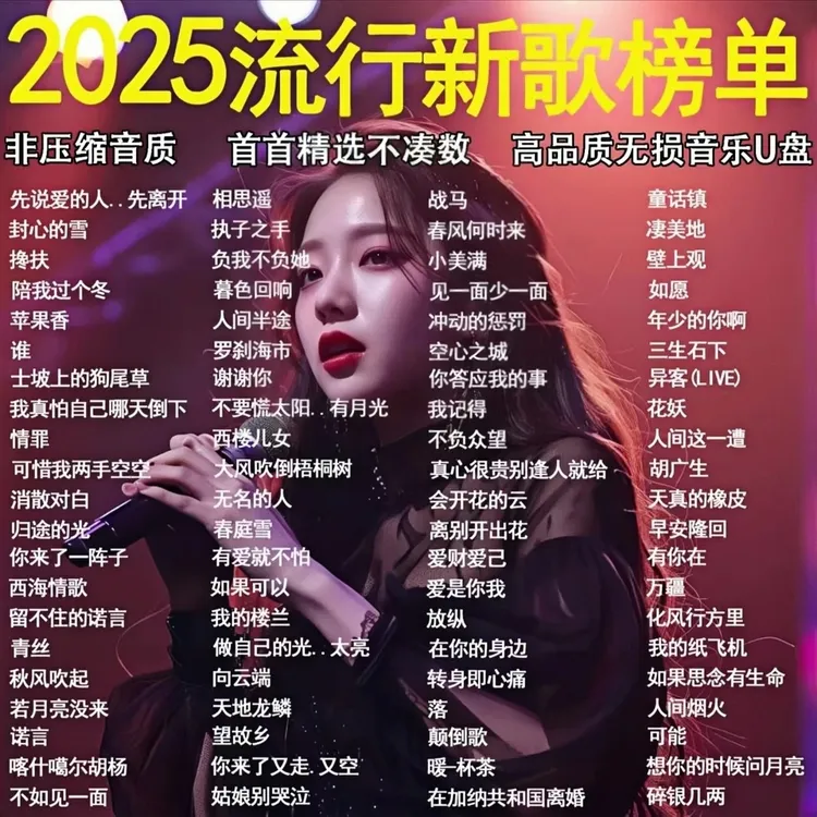 抖音热门歌曲无损音质车载U盘2025网络精选经典流行音乐 即插即用