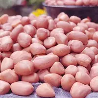 【小凯农货代卖】花生