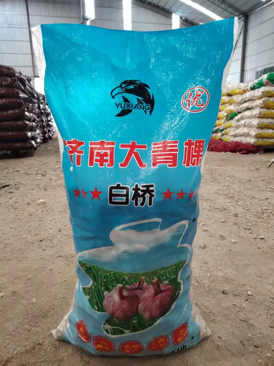 山东济南大青稞原种，抗旱抗病抗重茬，苗壮叶宽抗倒伏，产量高