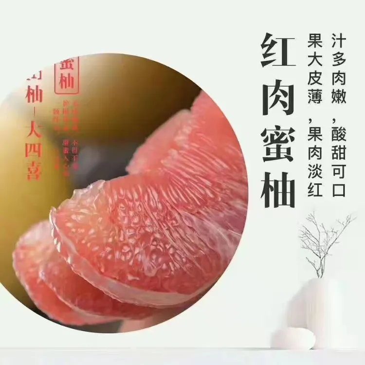【容县蜜柚】正宗广西容县蜜柚红心蜜柚容县产地现摘现发酸甜可口