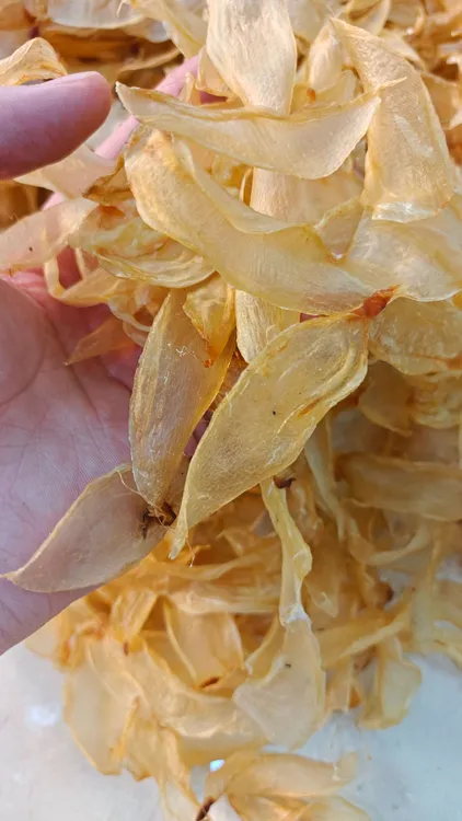 【赵麻麻精选】小竹叶胶