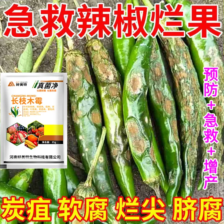辣椒疫病清肥料辣椒炭疽渍疡软腐霜霉烂果烂尖花皮病害专用叶面肥
