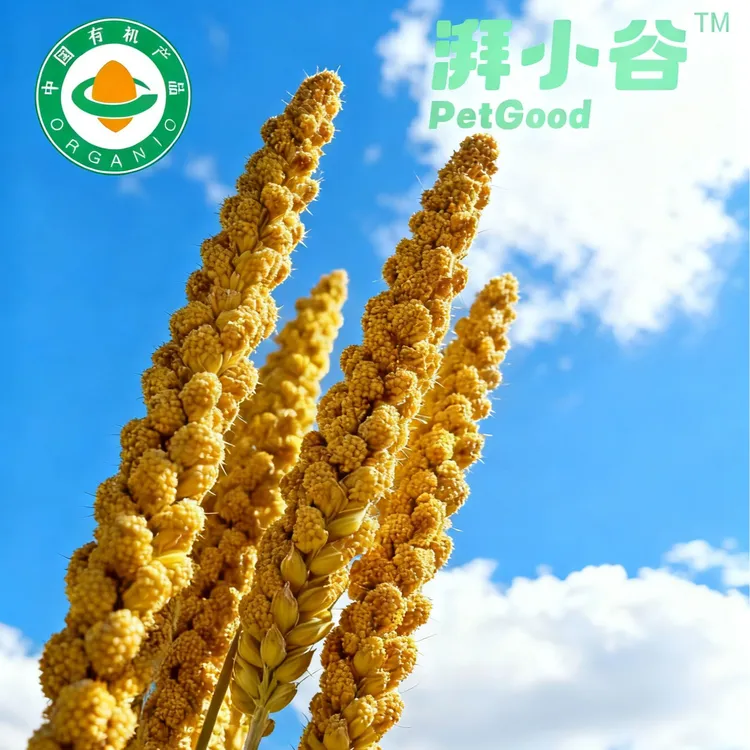 湃小谷有机宠物谷穗鹦鹉带壳黄谷子小米虎皮饲料鸟粮鸟鸟食2025
