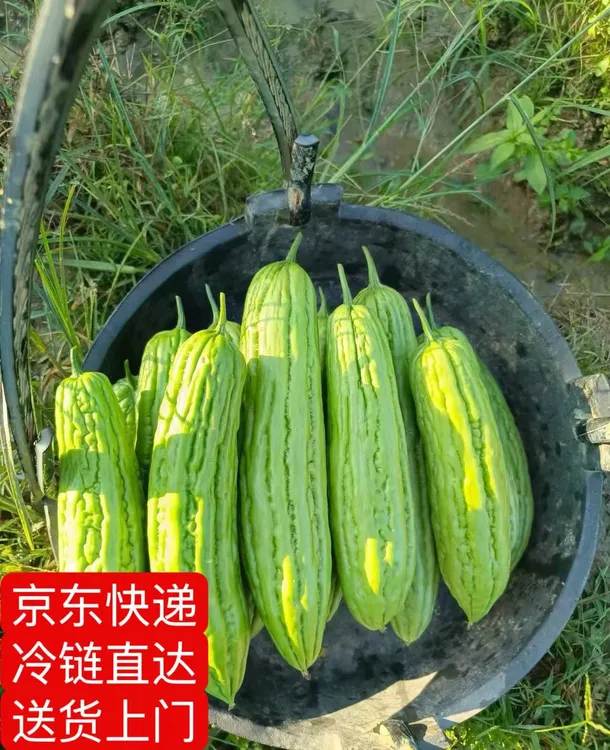 苦瓜·农家菜·思琴甄选