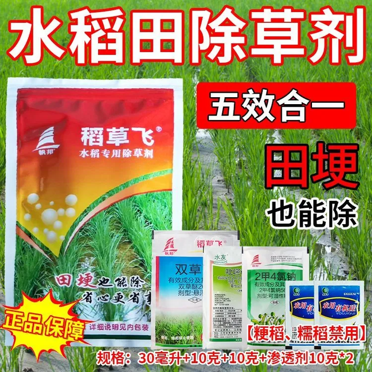 【五效合一】水稻田苗后专用除草剂稗草千金子水花生除草剂烂根剂