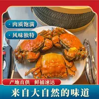 明天到【活蟹】 盘锦河蟹24只全母蟹 1.0-1.3两/只 活蟹顺丰京东包邮 稻田蟹
