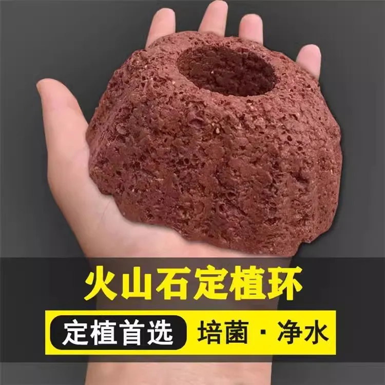 观赏鱼缸造景水草环纯天然火山石再制固定环净水培菌美观孔径2cm