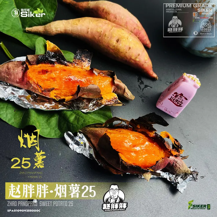 赵胖胖正宗山东烟薯25号糖心流油烤红薯硅养红薯蜜薯软糯香甜5斤