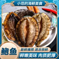 【小范海鲜】活冻鲍鱼 整只锁鲜 深海捕捞 10粒装*2包