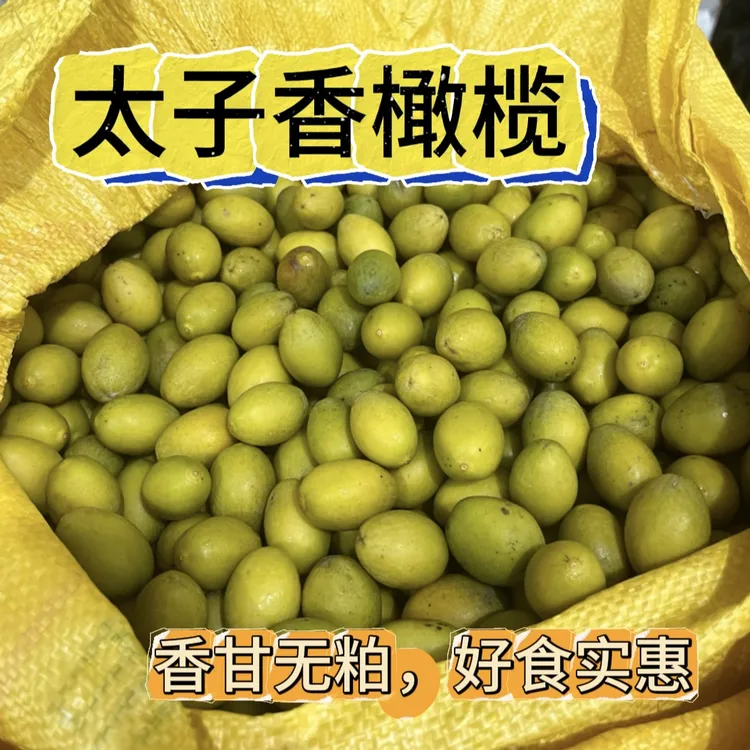 少量品种 太子香橄榄 香甘无粕 潮汕人尚食 一斤装