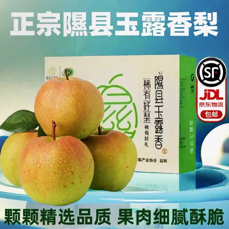 {京东包邮}隰县小西天玉露香稀有梨脆甜皮薄多汁礼盒装12颗8斤