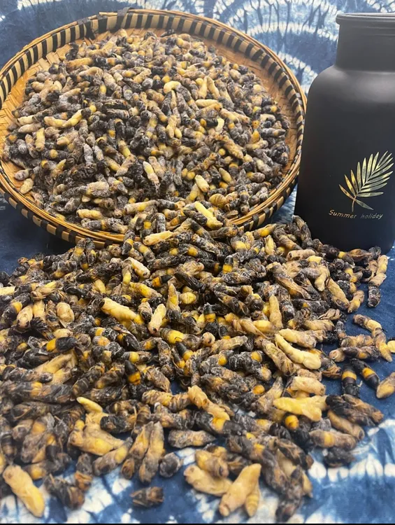 新鲜野生小四级树上小个头无内脏无无翅膀蜂蛹马蜂窝油炸冰冻