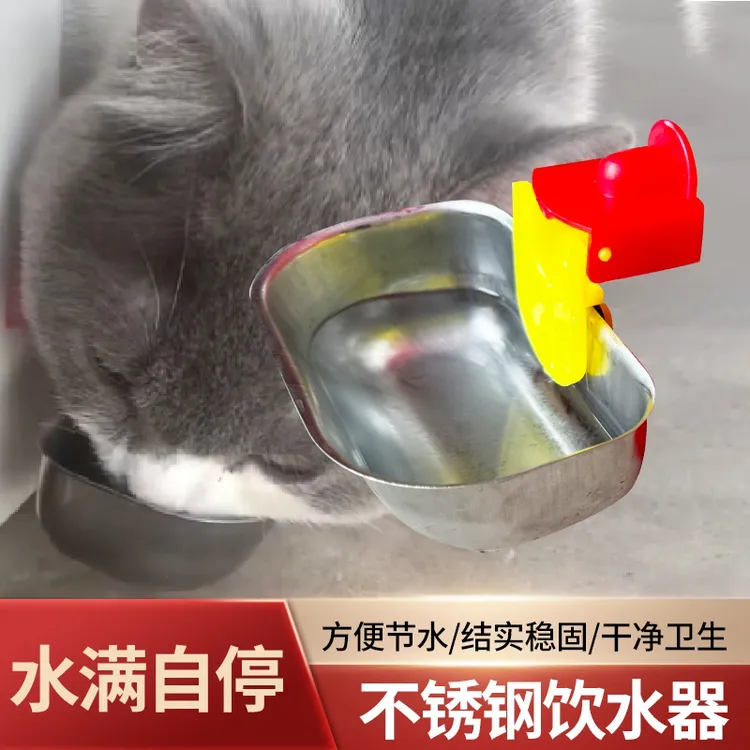 猫咪饮水机不锈钢养殖鸟宠物自动饮水器适用于鸽子鹌鹑鹦鹉鸡鸭鹅