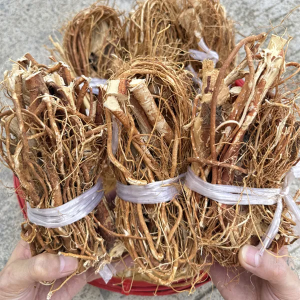 新鲜扎把五指毛桃干货煲汤食材 【无硫磺 无添加 】纯自然