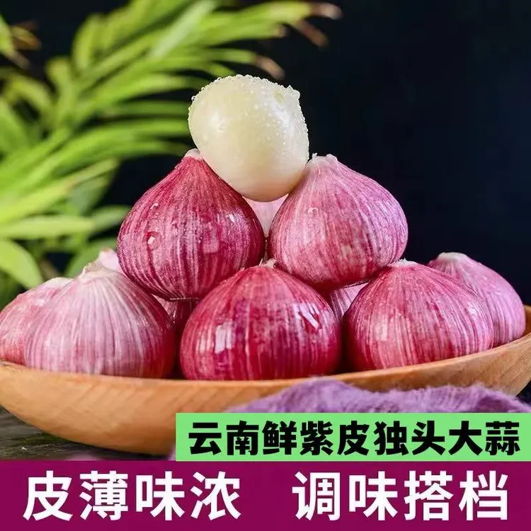 (新鲜独头蒜)东北紫皮独头蒜新鲜现挖现发湿蒜辛辣味道足商品图