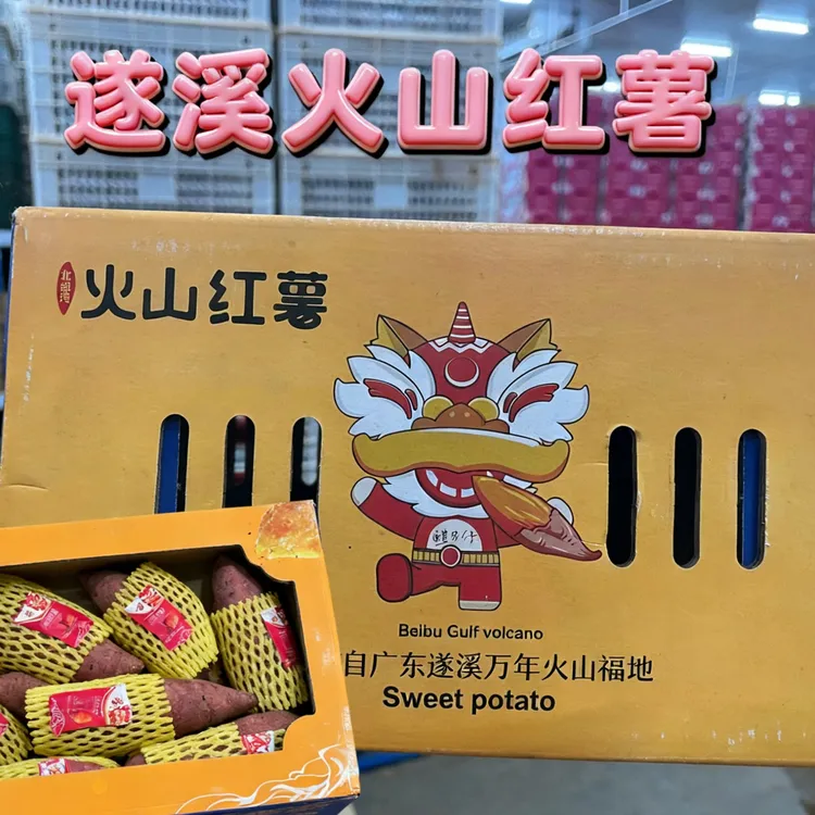 湛江遂溪火山一号红薯黄心新鲜火山红薯香甜软糯口感丝滑富硒