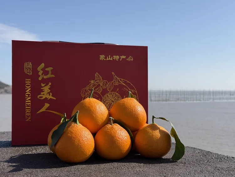 正宗象山红美人精品大果礼盒装（8-10个随机发）