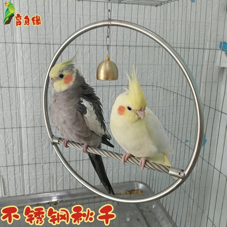 鹦鹉不锈钢秋千笼子配件用品育鸟缘鸟用秋千玄凤中小鹦鹉吊环玩具