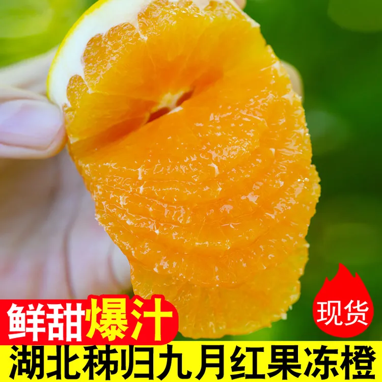 湖北秭归九月红果冻橙3/5/8斤新鲜水果当季现摘大甜化渣爆汁橙子
