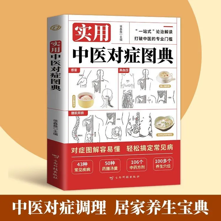 正版 实用中医对症图典图解容易懂对症调理轻松搞定常见病X