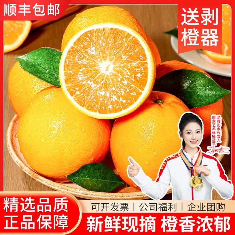 正宗江西赣南脐橙 果园新鲜现采现发 送剥橙器  橙子 顺丰包邮