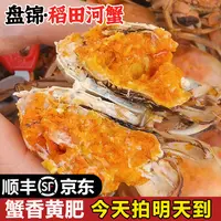明天到【活纯母蟹】1.0-1.3两/只盘锦河蟹顺丰京东发货12只送12只共发24只童小二DS1